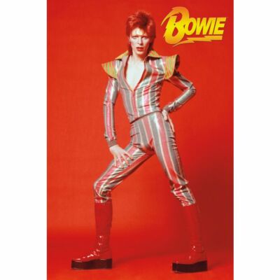 2018 DAVID BOWIE GLAM POSTER 24x36 NEW FREE SHIPPING | eBay