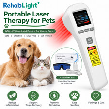 Portable 880mW Cold Laser Therapy Device 650nm 808nm for Human Pet Pain Relief