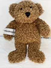 I Pledge Brown Teddy Bear Curly Fur Plush Stuffed Animal 9” Read