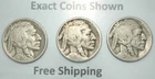 1927-P-D-S Buffalo Indian Head Nickel year set Philadelphia Denver San Francisco