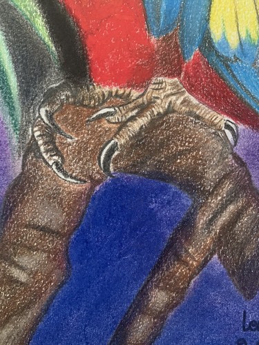 Oil Pastel Colorful Bird Drawing 11” x 14” - Picture 4 of 9