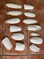 14 Pieces of Cuttlefish Bone Sepia Pet Bird Tortoise Calcium Food