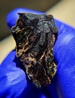 NWA 16774 Pallasite Meteorite 13.419g Endcut Colorful Olivine COA — photo 3