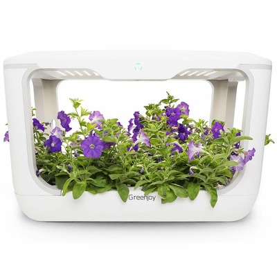 Greenjoy Indoor Herb Garden Starter Kit Hydroponics Growing System Plant Germi Ebay
