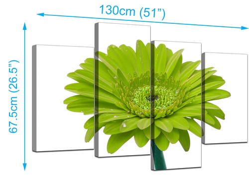Quadri grandi verde lime Gerbera margherita tela arte da parete stampe XL 4098 - Foto 5 di 9