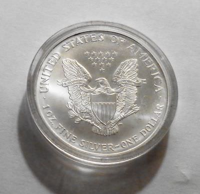 1999 Painted Walking Liberty American Eagle One Dollar Coin 1 Oz