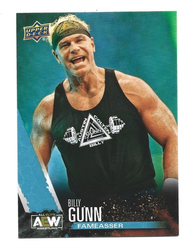 Finisher 2021 Upper Deck AEW All Elite Wrestling #72 Billy Gunn Crew WWE NXT