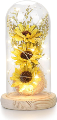 Lámpara De Cúpula De Cristal Con Girasol Preservado - Decoración LED Para Hogar, Regalo Día De La Madre, San Valentín