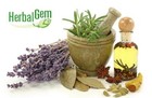  HerbalGem single Mother macerates 2 bottles (50ml each)