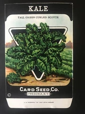 1920s Litho Antique Vintage Card Seed Co. Packet Pack Kale tall green curled