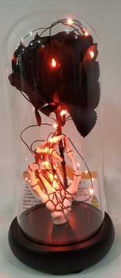 Happy Halloween Light Up Black Rose Dome