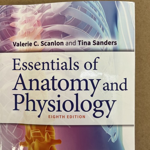 Schülerarbeitsbuch für die Grundlagen der Anatomie und Physiologie von Tina Sanders und... - Bild 2 von 7