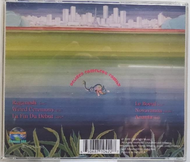 洋楽 Delired Cameleon Family 洋楽 Delired Cameleon Family Delired Cameleon Family