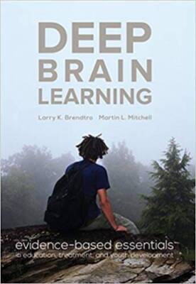 Deep Brain Learning: evidence-based essentials in education, treatme - VERY GOOD