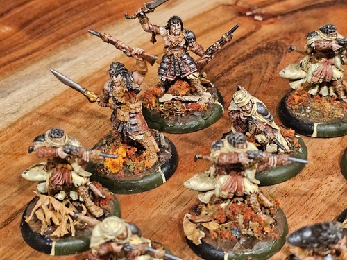 Hordes Warmachine Protectorate of Menoth Idrian Skirmishers Well Painted METAL - Picture 18 of 24