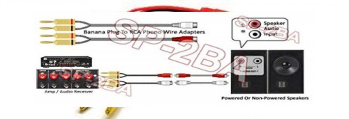 Speaker Banana Plug To Stereo RCA L/R 