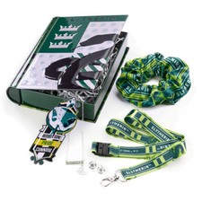 Juego de regalo de hojalata Harry Potter Slytherin House con cordón, joyas y más