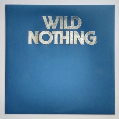 WILD NOTHING: To Know You / TV Queen 7'' Vinyl Single Life of Pause LoFi Shoegaze