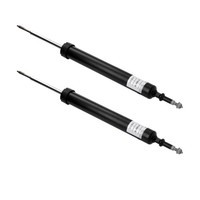 2 Sachs StoßDäMpfer 313 933 Hinterachse FüR Bmw X1