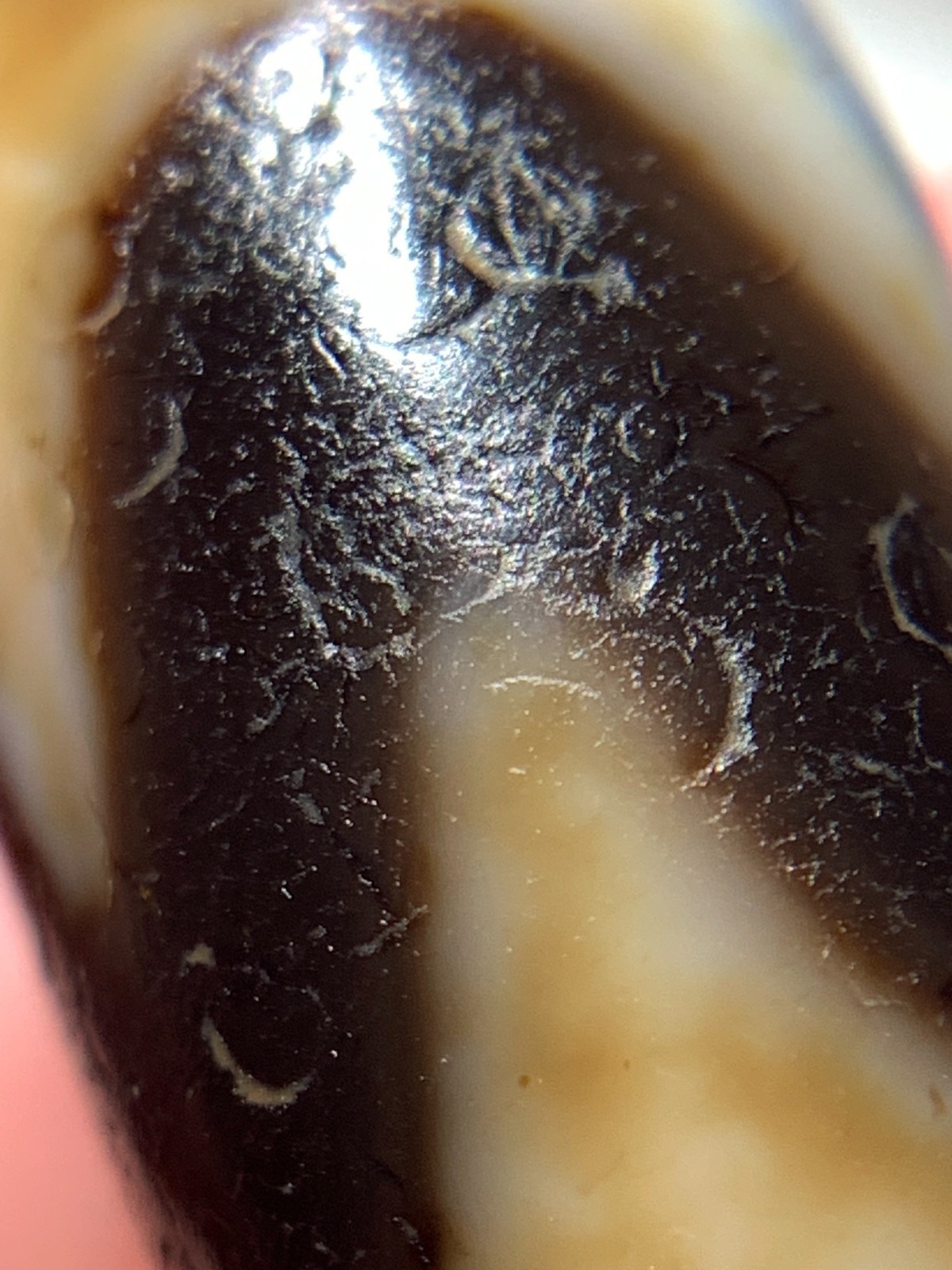 Dzi Bead ‘ Tiger Tooth ’ Amulet Pendant 27.2mmx 12.5mm