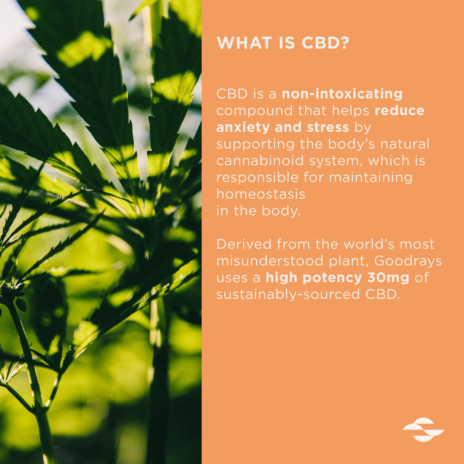 30mg CBD Drink by Goodrays, Blood Orange and Grapefruit for anxiety and