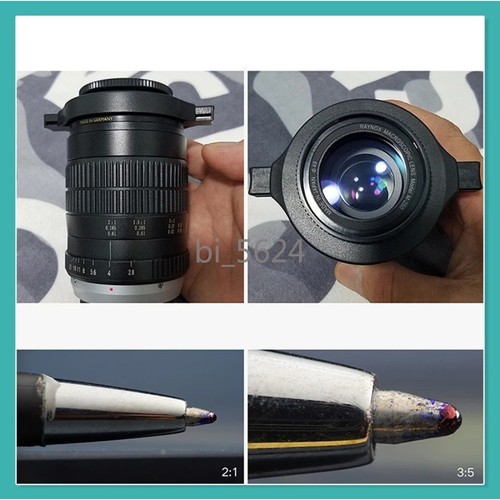 Macro Insect Photography Macroscopic Lens Magnify Glass Universal Adapter Raynox - Picture 9 of 52