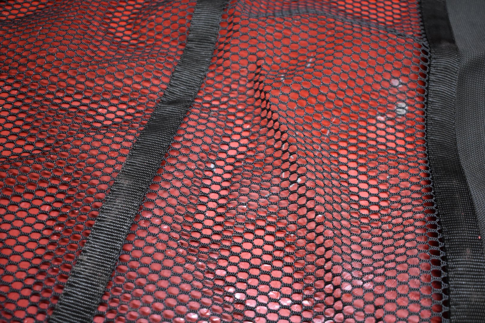 Picture 10 of 11