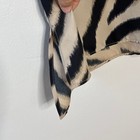 Bild 4 von 8