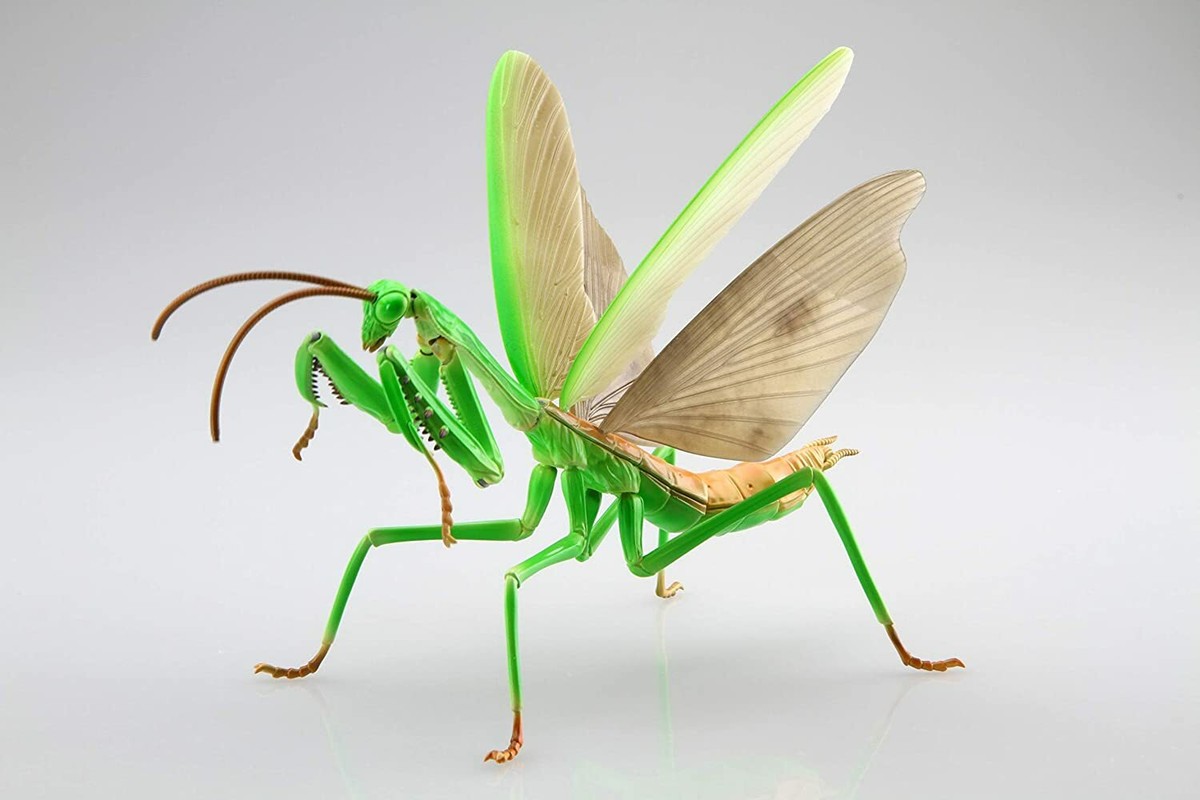 Fujimi Model Tenodera Aridifolia Living Edition Praying Mantis
