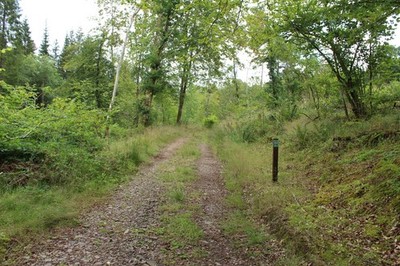 Foto 6x4 MTB Trail (grün), Cairnpark\/NX8698 c2016