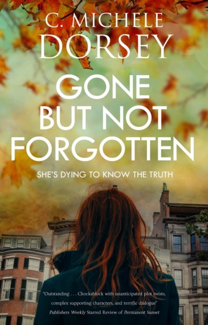Gone But Not Forgotten by C Michele Dorsey HARDBACK 9781448310784