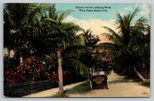 West Palm Beach Datura Street Brass Era Car FL c1910 Postcard