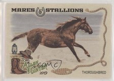 2019 Topps Allen & Ginter Mares and Stallions Thoroughbred Horse #MS-3 0v7