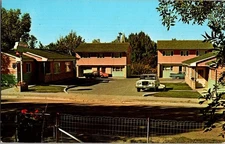 Williams Court AAA Shelby Montana MT Postcard