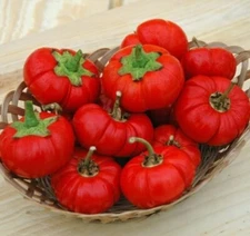 Pepper Pumpkin Seeds for Planting (5 Rare Seeds) - Peppers Shaped Like Pumpkins