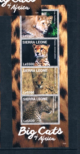 1/3 de descuento $38.00 Scott Value - 2014 Sierra Leona Gatos 4 s/s Vida Silvestre CV MNH NH UMM - Imagen 3 de 6