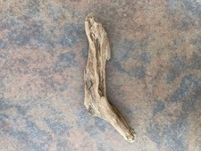 Natural Driftwood for Plants Terrarium Taxidermy Art Projects