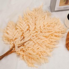 Fern Preserved Champagne Ferns, 10 PCS Dried Boston Fern with Stems, 15'' Rea...