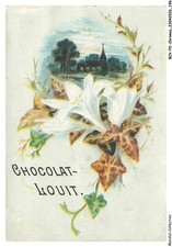 انونكيوس Chocolate