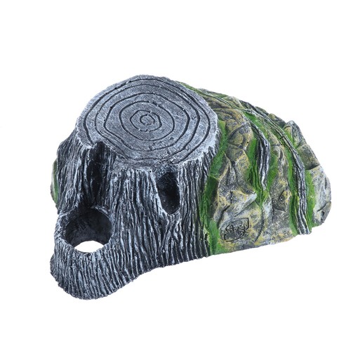 Tortue Accessoires Pour Réservoir De Tortues officiel Habitat Reptile