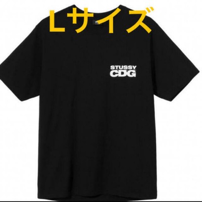 stussy cdg surfman
