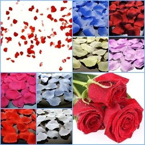 blumenkasten für hauswand Pflanzkasten mit Rankgitter aus schwarz lackiertem Stahl 80 × 40 × 40 cm main image 1