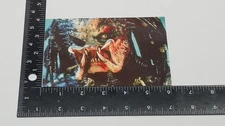Predator Collectors Edition Promo Picture | 1989 6x4.5 Inches