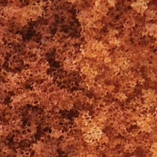 Woodland Scenics F56 Late Fall Foliage  (10)