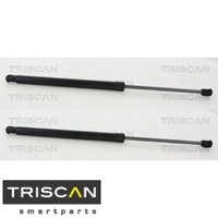 2X Gasfeder FüR Koffer-/Laderaum Triscan 8710292047 DäMpfer GasdäMpfer