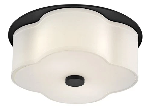 Hinkley Lighting 46441 Delaney 2 Light 14"W Flush Mount Drum - Black - Picture 7 of 9