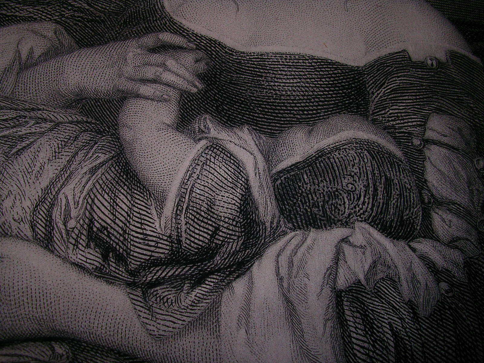 Picture 5 of 12