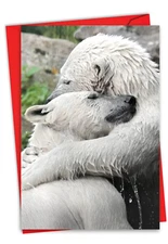 1  Valentine's Day Card with Envelope - Bear Hugs C6327BVDG