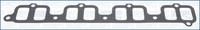 Ajusa 13175900 Dichtung, AnsaugkrüMmer FüR Hyundai Kia