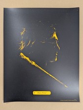 Patrik Svensson Harry Potter Art Print Poster - BNG NT Mondo